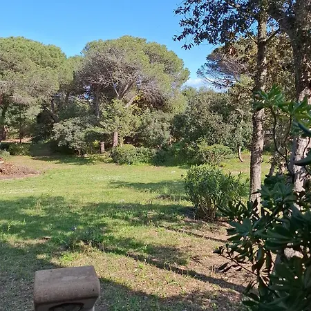 Appartement Casa Leone *